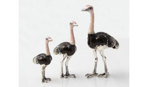 3 Ostriches